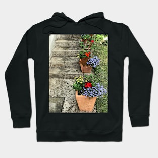 Flowerpots on Concrete Stairs Hoodie